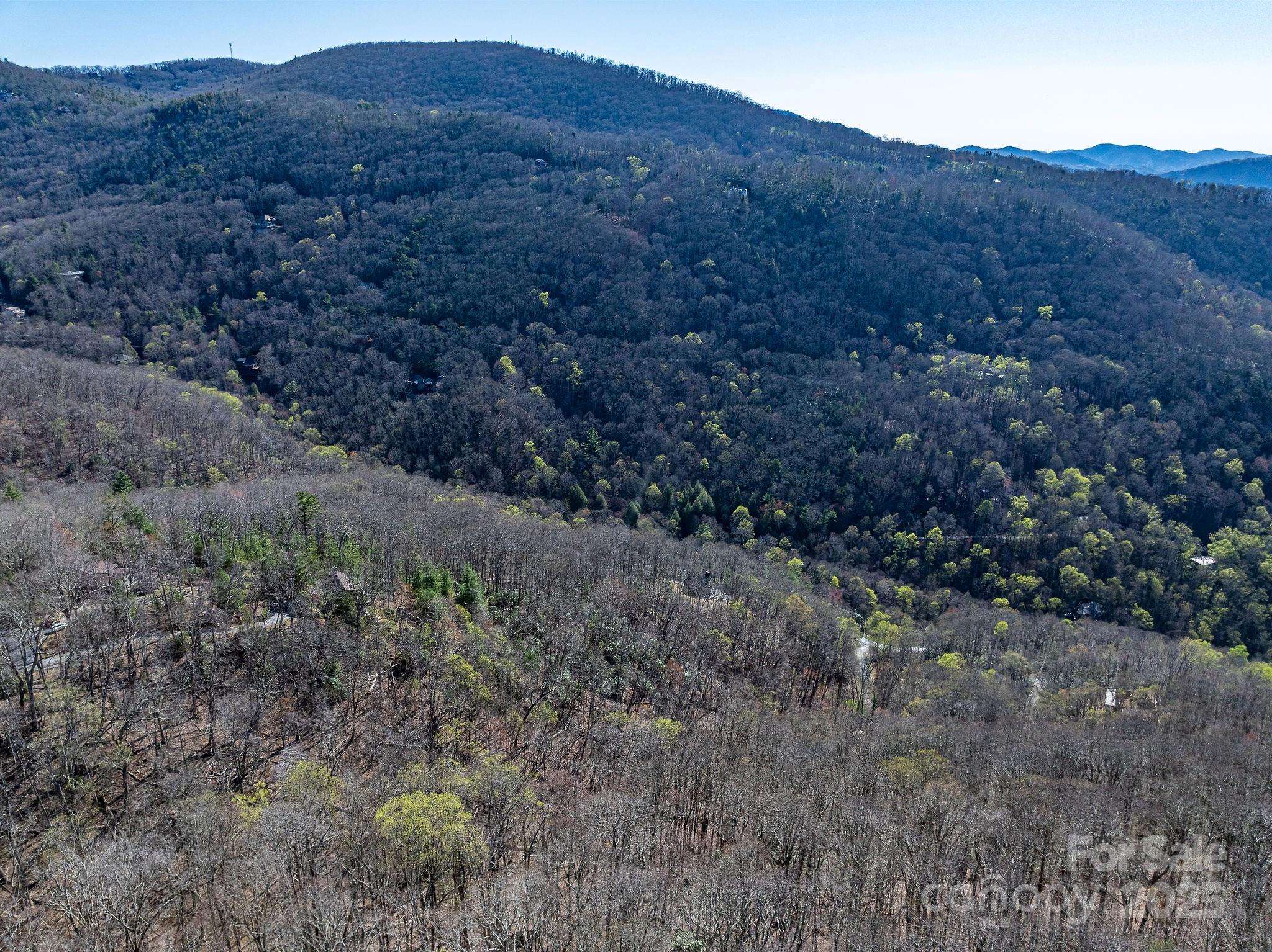 Fairview Forest - Land