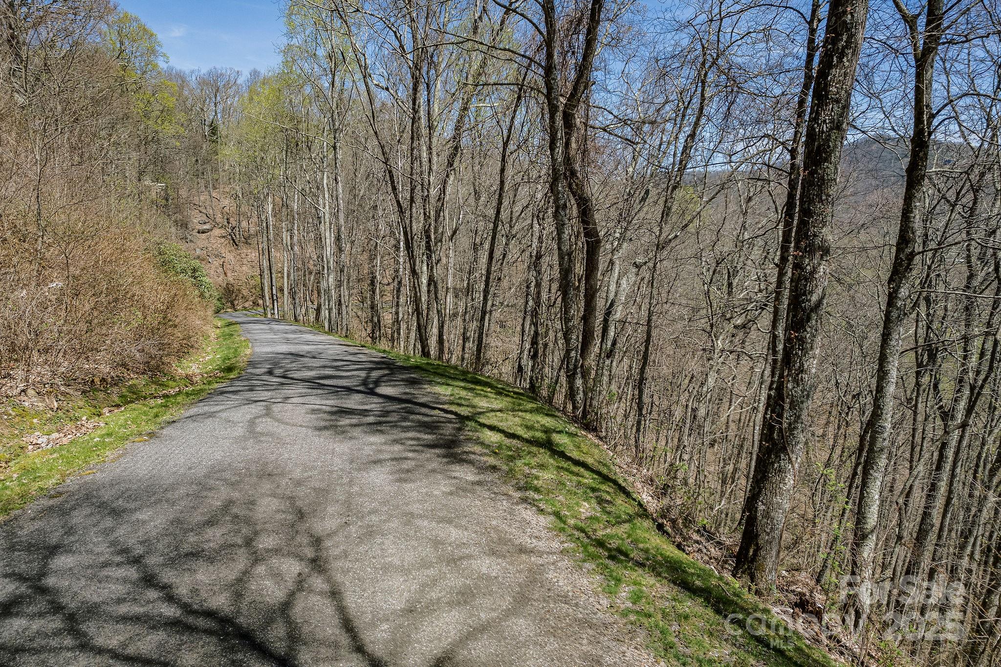 Fairview Forest - Land