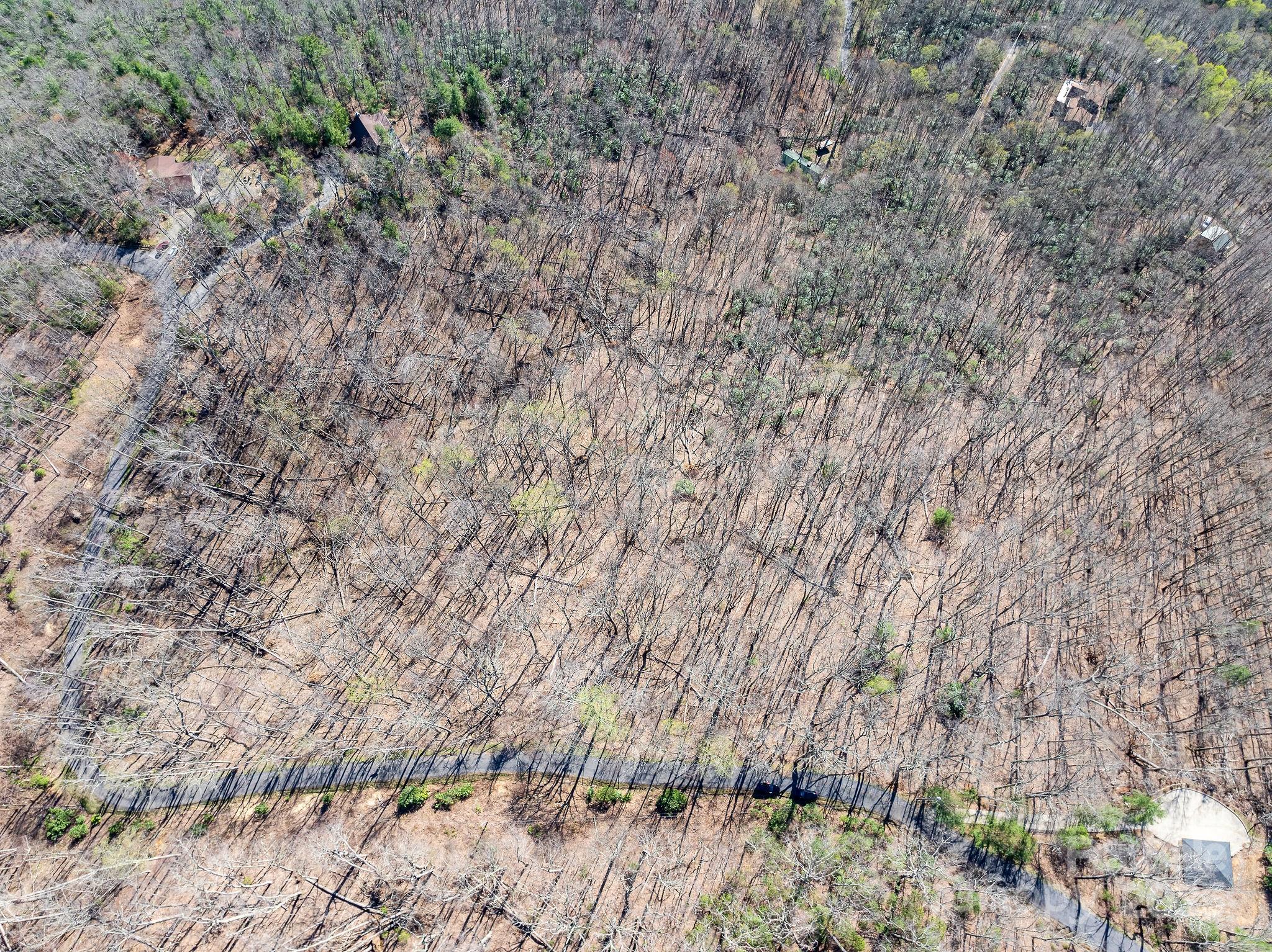 Fairview Forest - Land