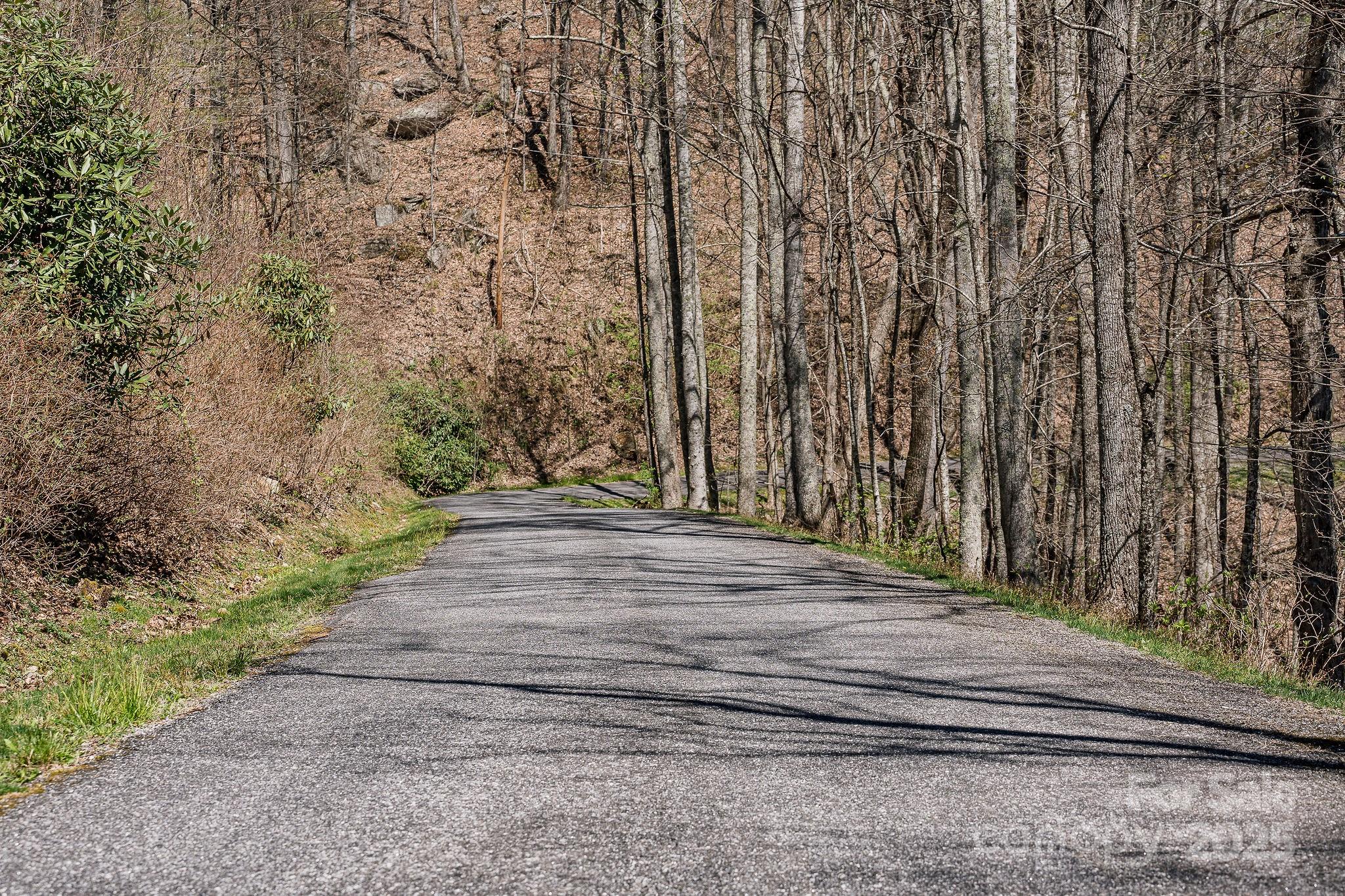 Fairview Forest - Land