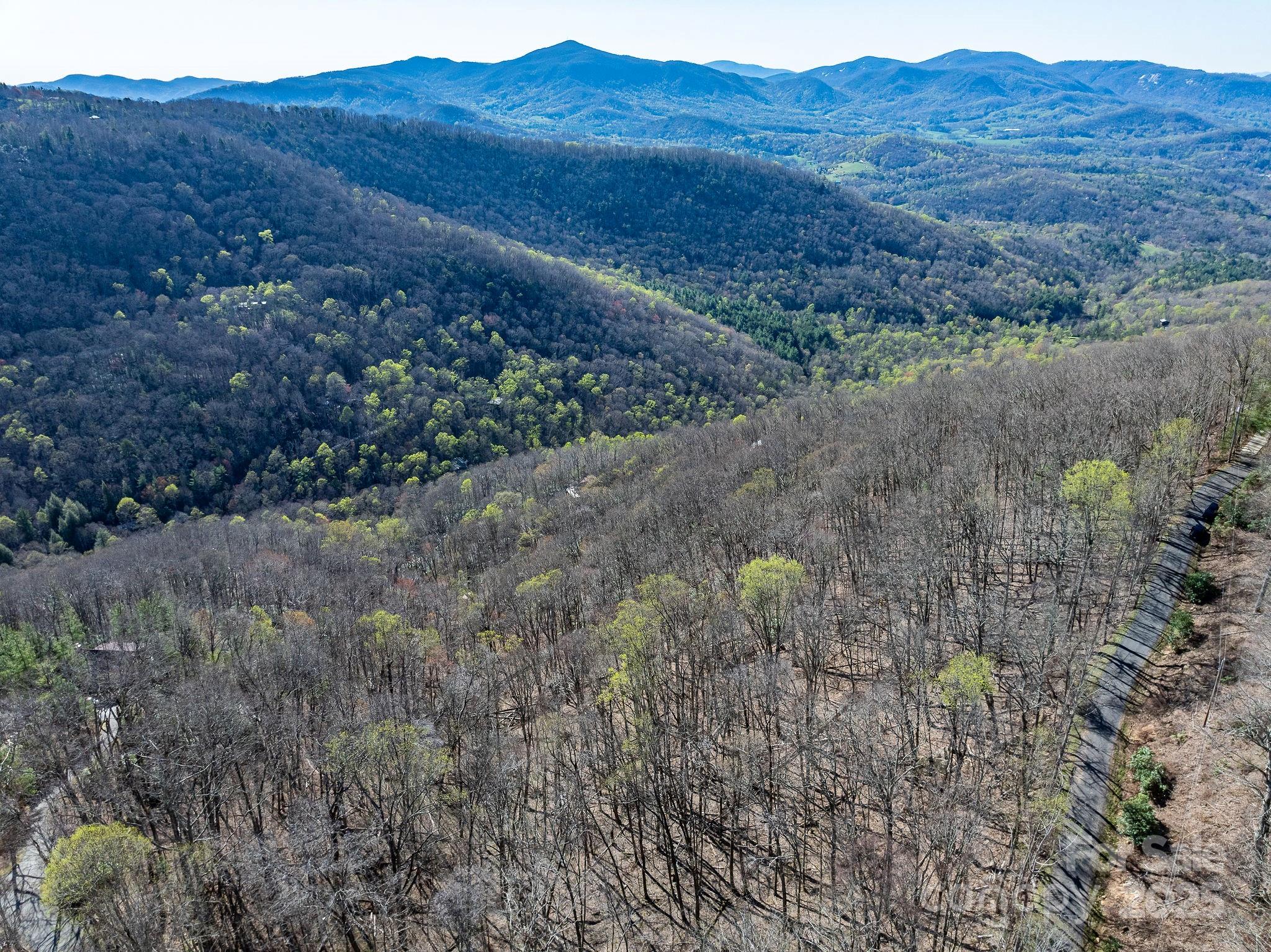 Fairview Forest - Land