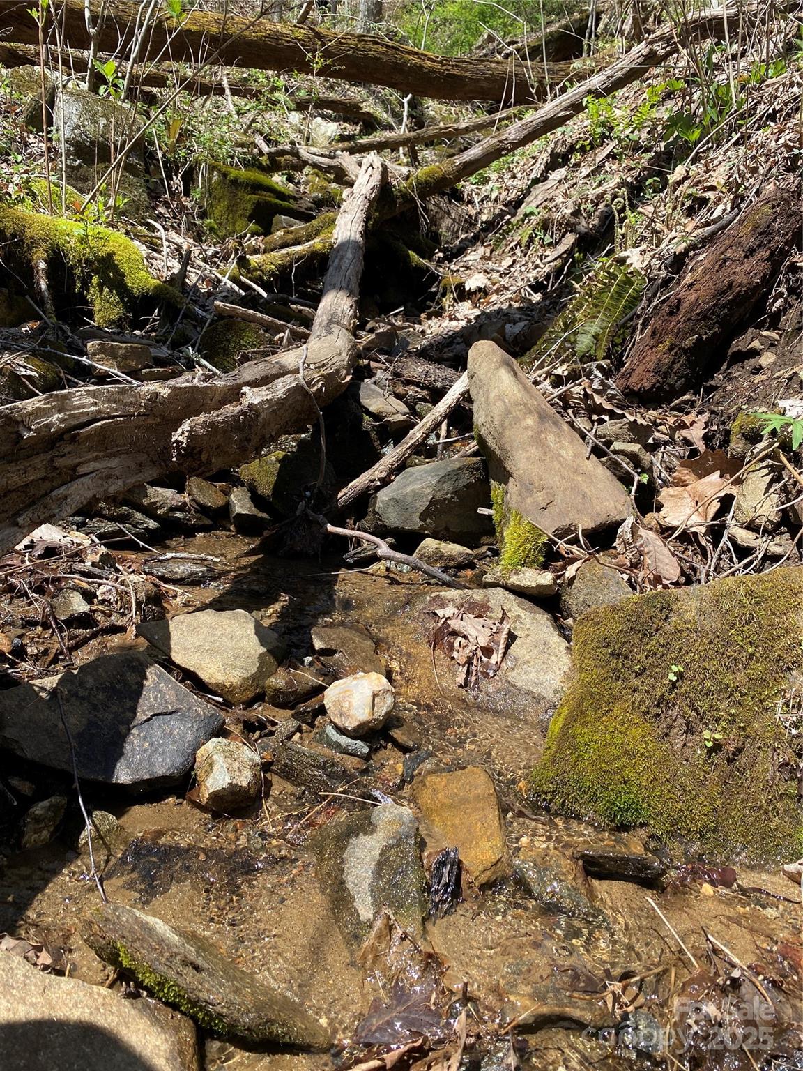 Fairview Forest - Land