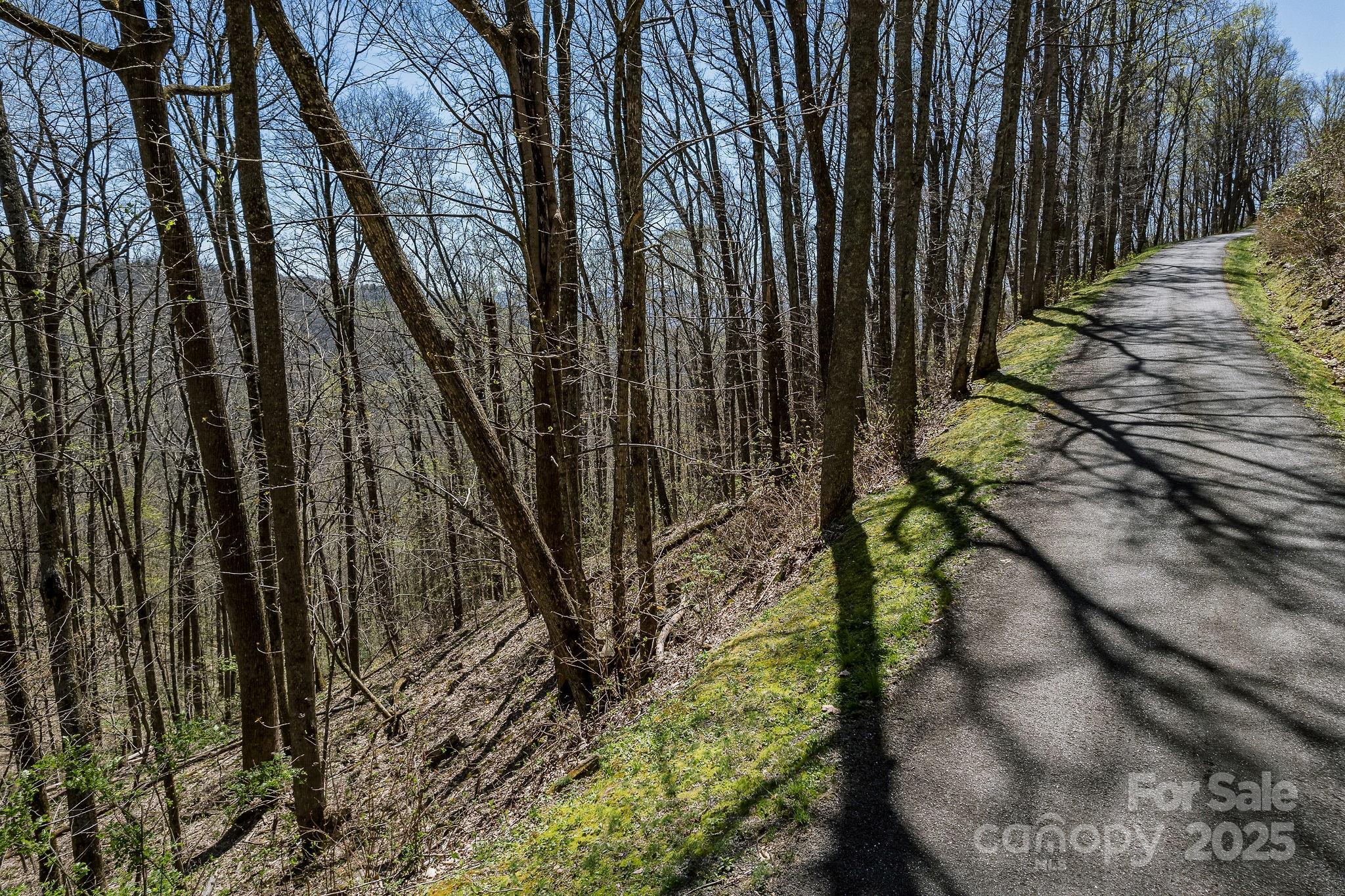 Fairview Forest - Land