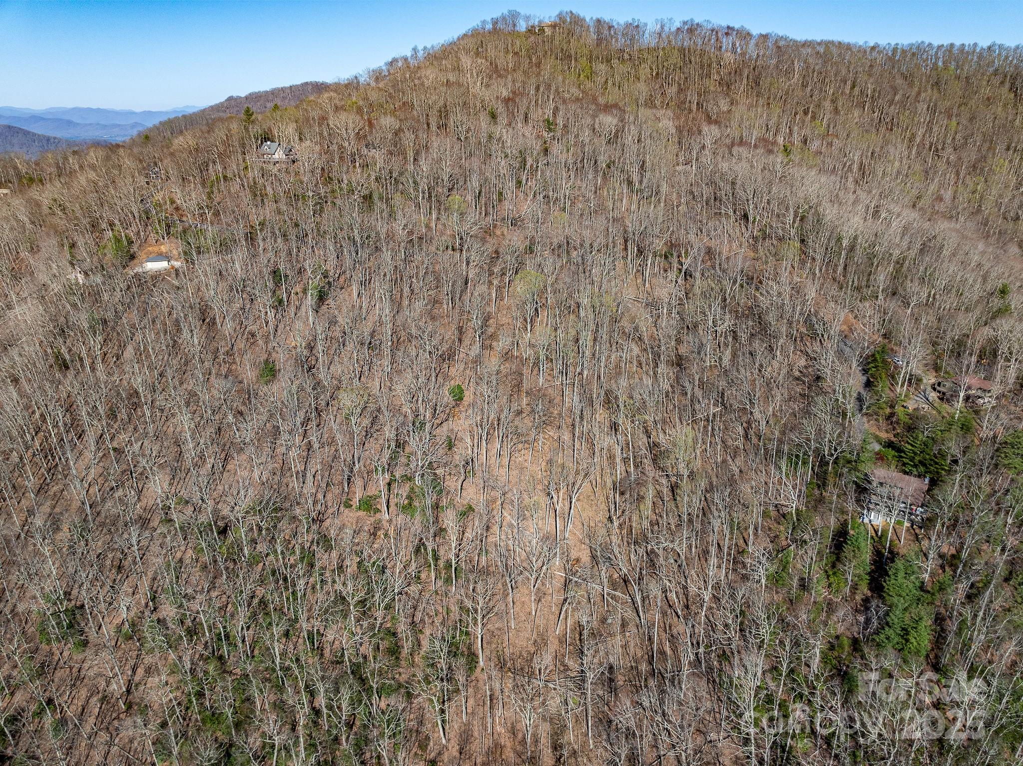 Fairview Forest - Land