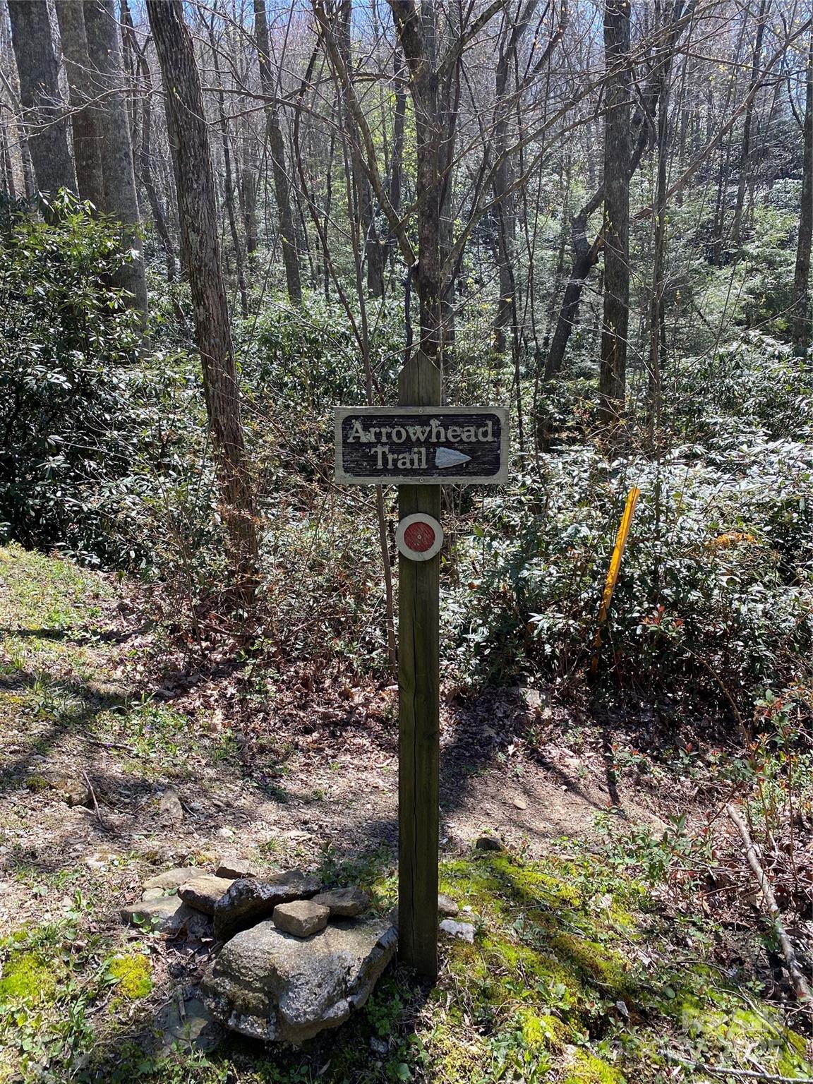 Fairview Forest - Land