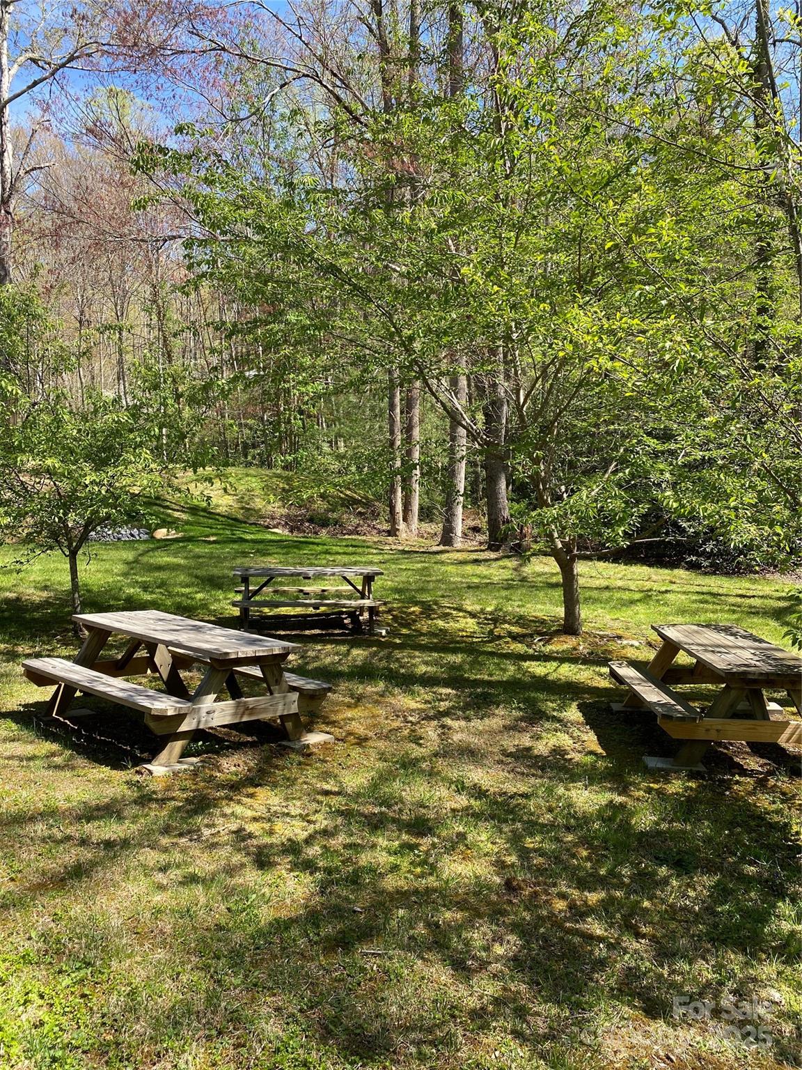 Fairview Forest - Land