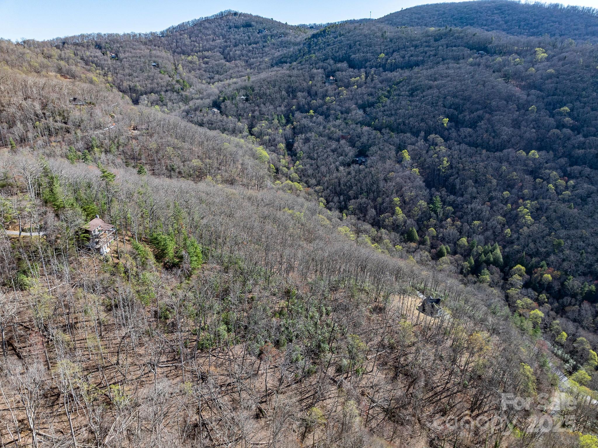 Fairview Forest - Land