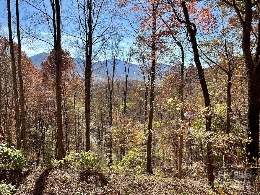 This lot boasts gorgeous view potential in the Scarlet Oaks development of Maggie Valley Club & Resort. If you're looking for a lot with lots of usable yard, keep scrolling. If you're looking for a property with an amazing SW view of the Blue Ridge Mountains and a home with a treehouse feel, you've found it. Property ownership in Scarlet Oaks includes membership to Maggie Valley Club & Resort, which boasts wonderful amenities, including: outdoor pool, fitness center, tennis courts, restaurant/clubhouse, walking trails, not to mention discounted golf at a highly regarded WNC golf course. Know that the topside(Ironwood) access drive onto the lot has been cut into the logical home site area. Amazing potential and setting.