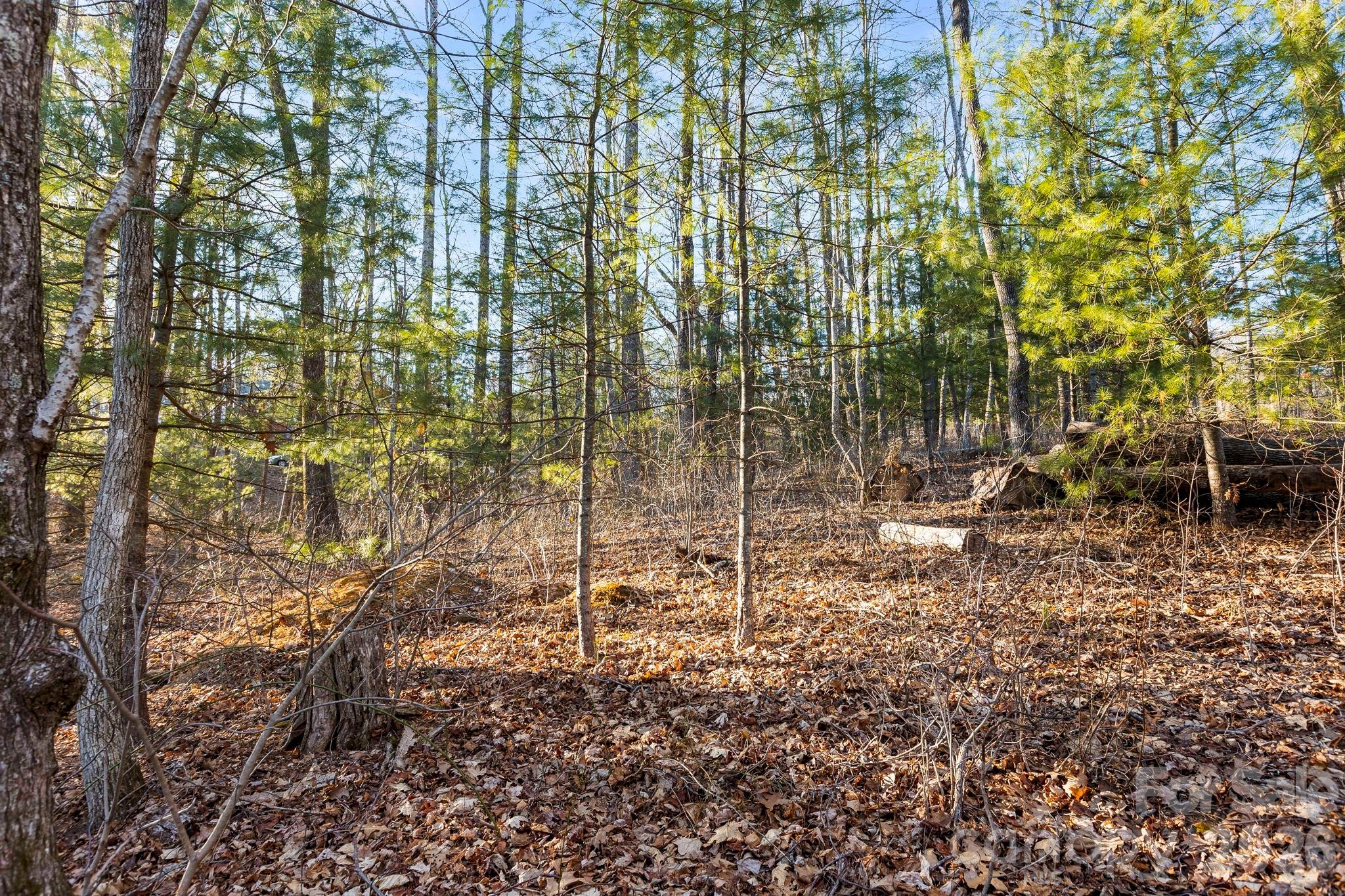 Grand Highlands at Bearwallow - Land