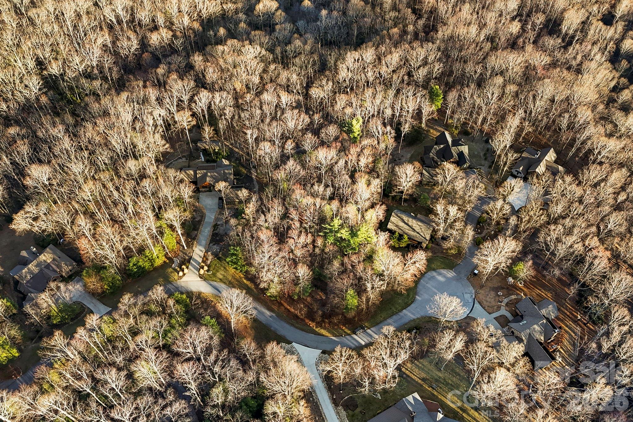 Grand Highlands at Bearwallow - Land