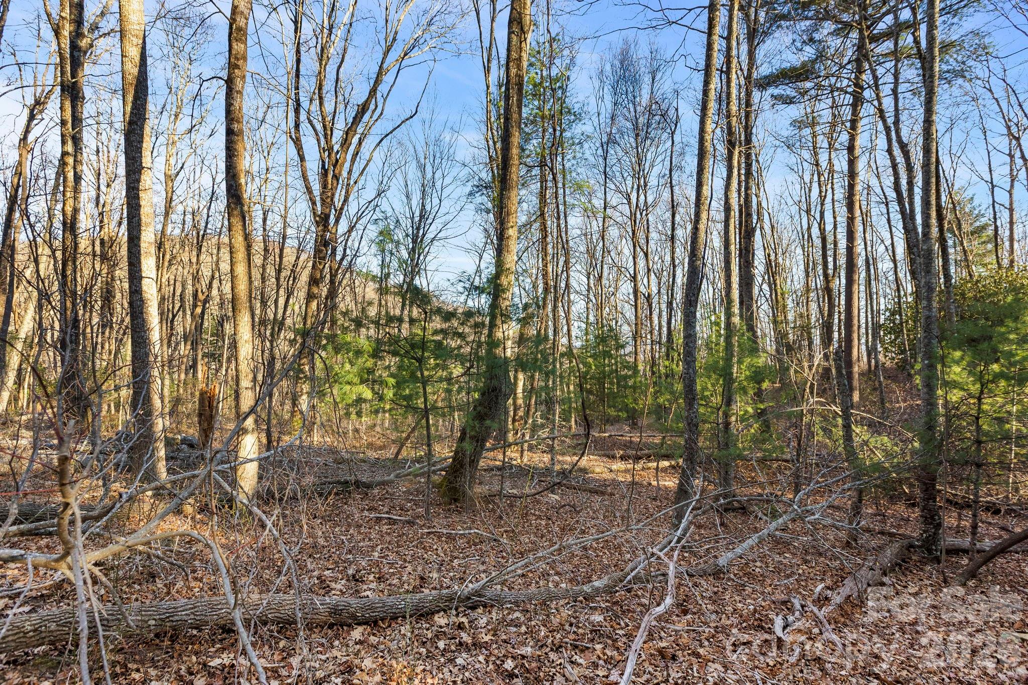 Grand Highlands at Bearwallow - Land