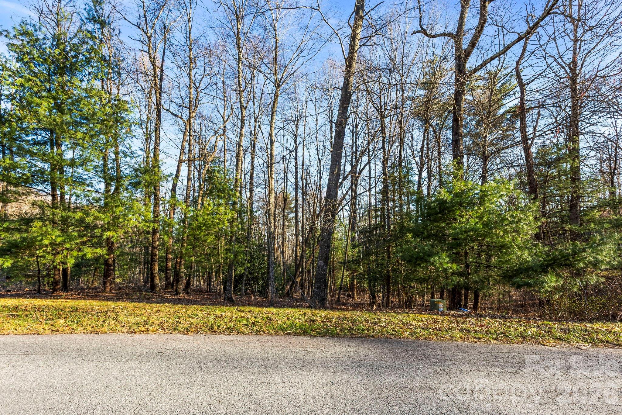 Lot 125 Thunder Mountain Road