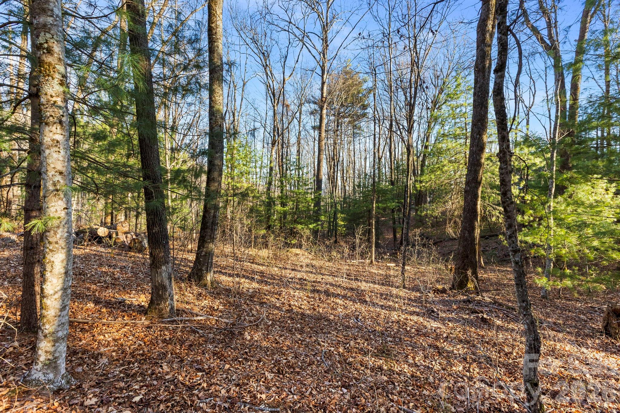 Grand Highlands at Bearwallow - Land