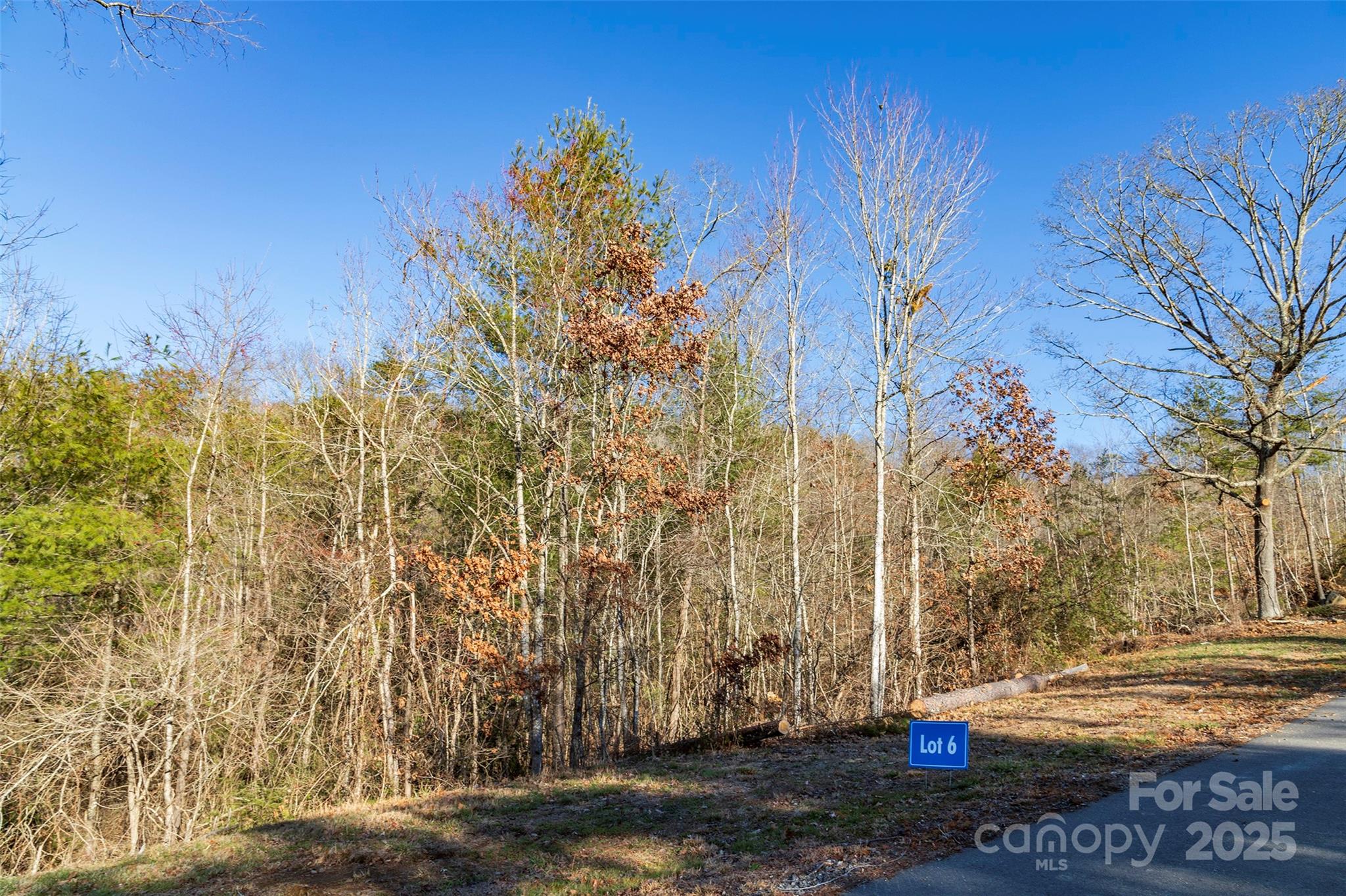 112 Saddle Ridge Drive 6
