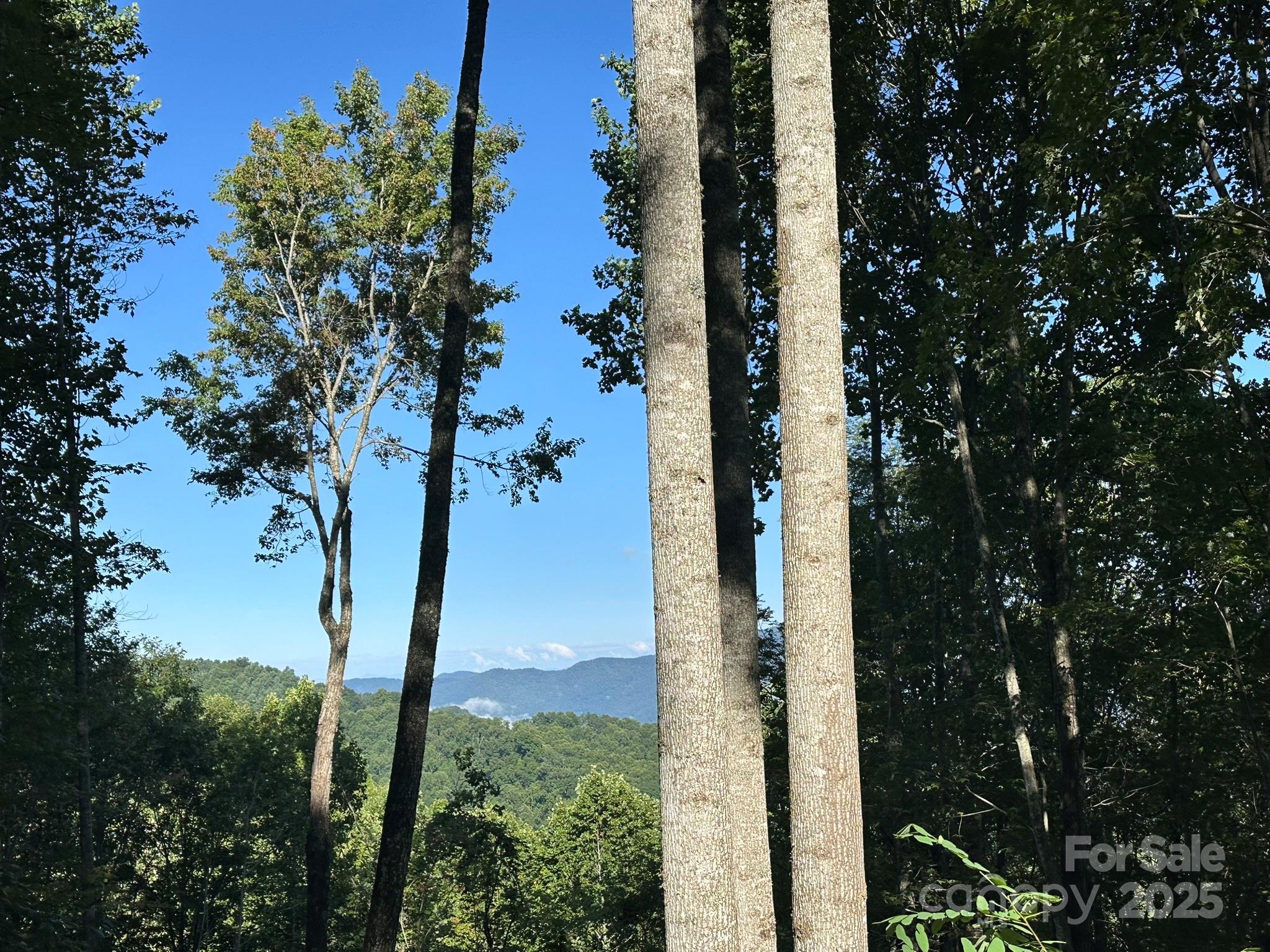 Balsam Mountain Preserve - Land