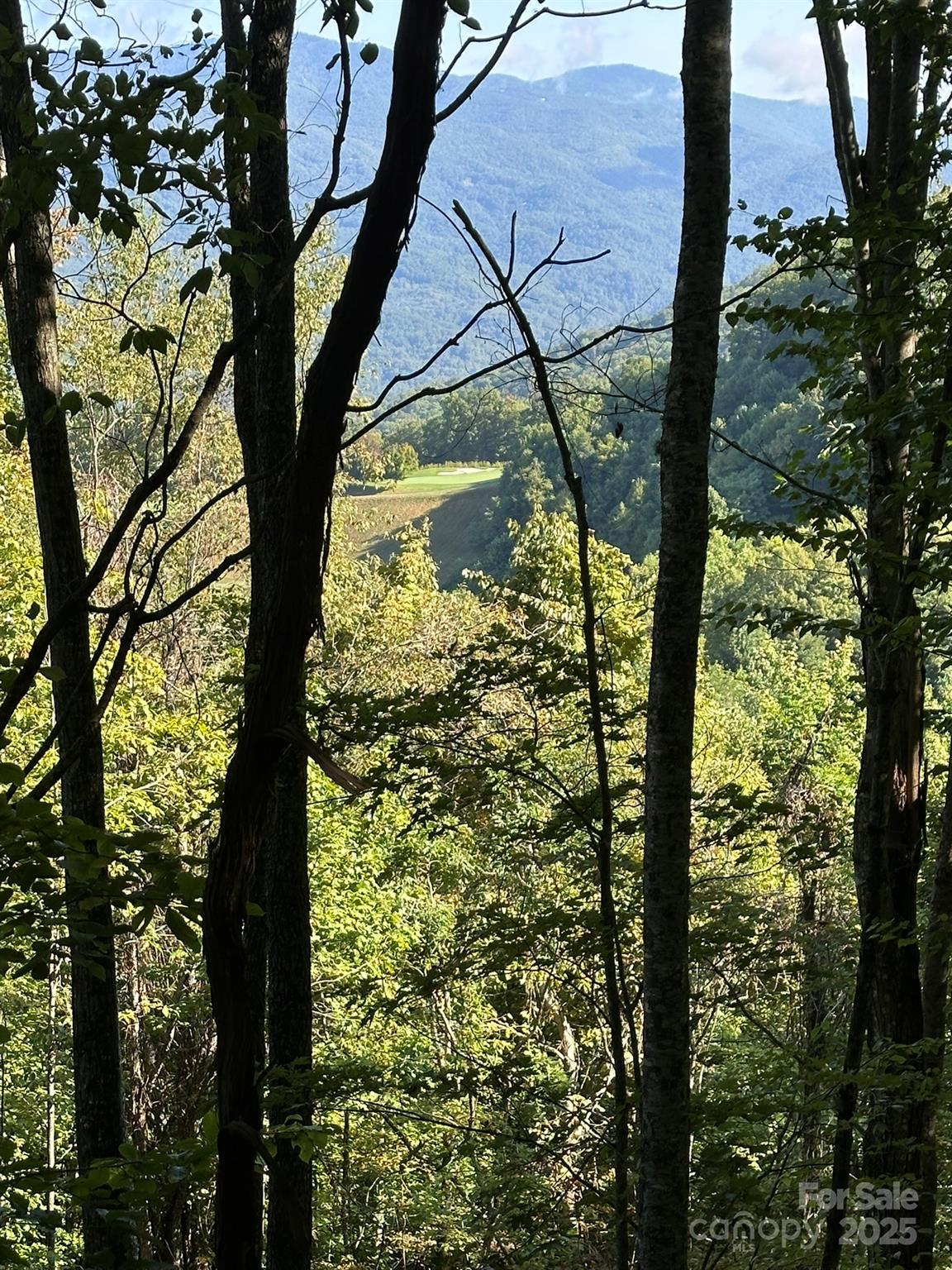 142 Old Growth Way 58