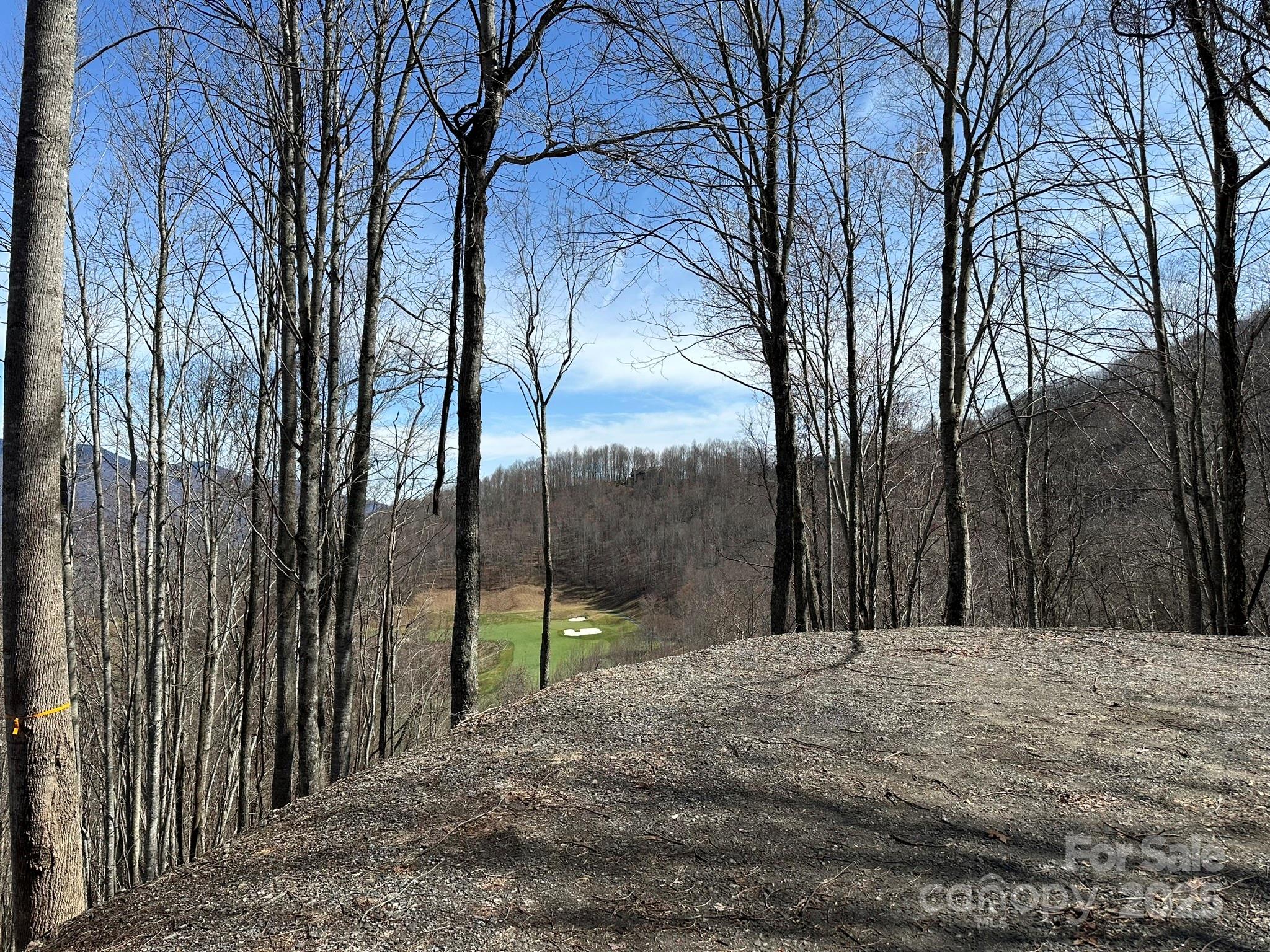 Balsam Mountain Preserve - Land
