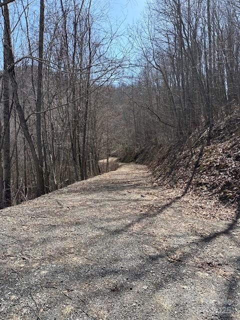 Balsam Mountain Preserve - Land