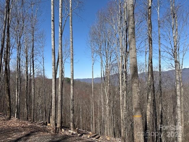 Balsam Mountain Preserve - Land
