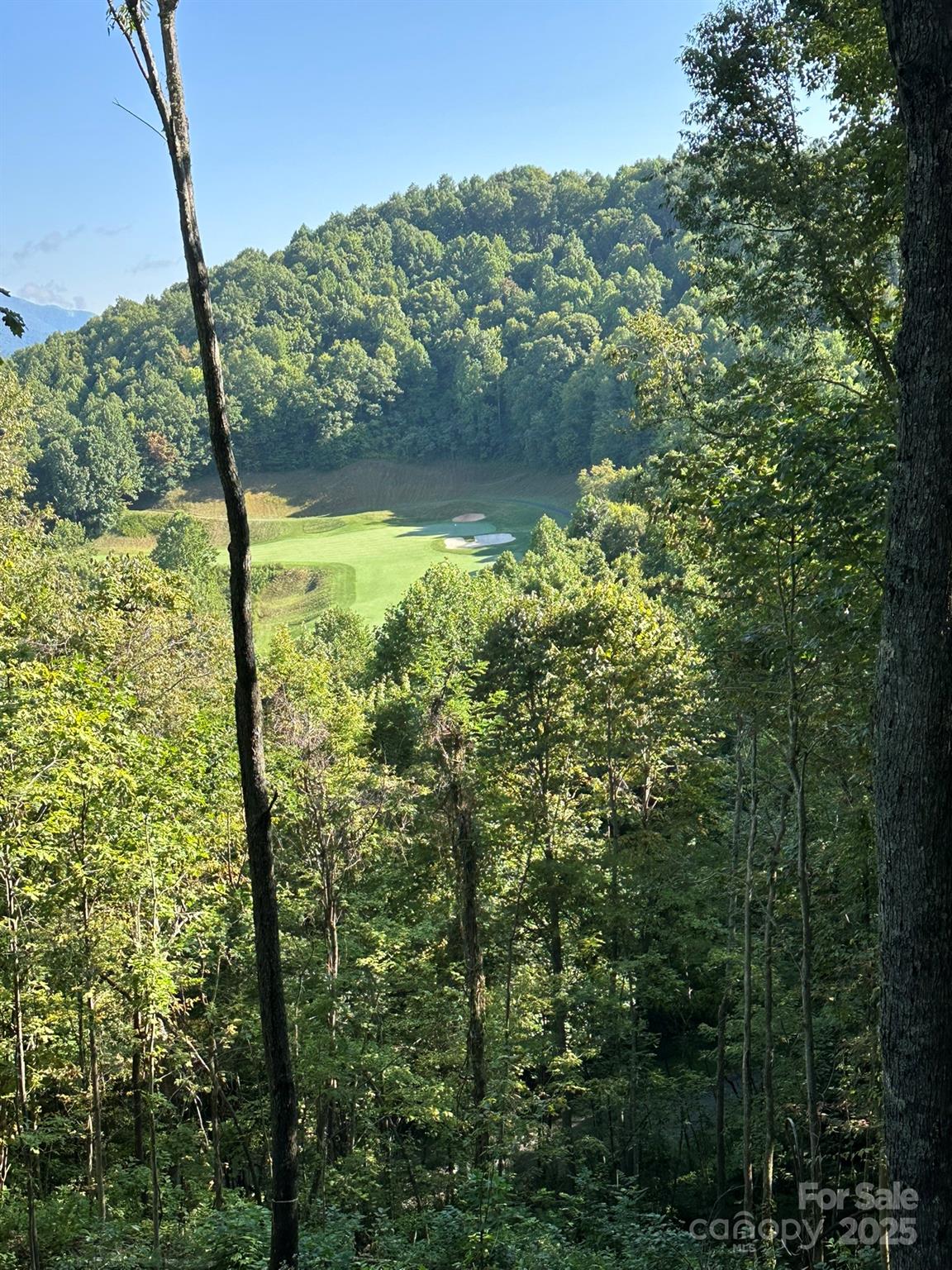 142 Old Growth Way 58