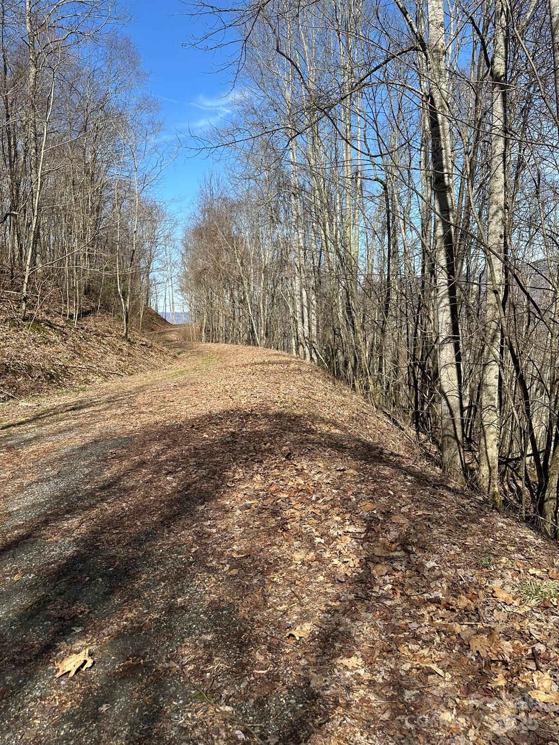 Balsam Mountain Preserve - Land