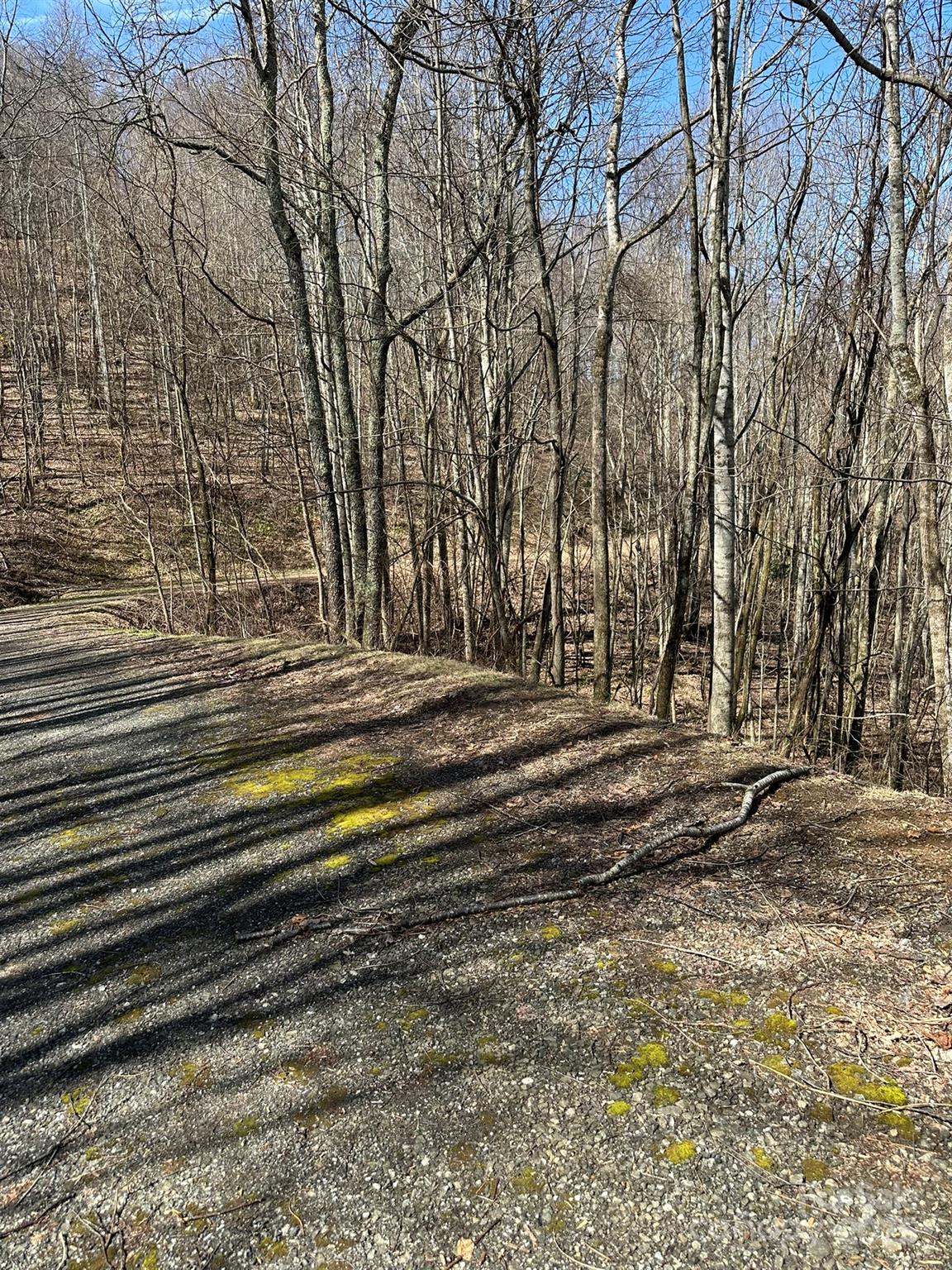 Balsam Mountain Preserve - Land