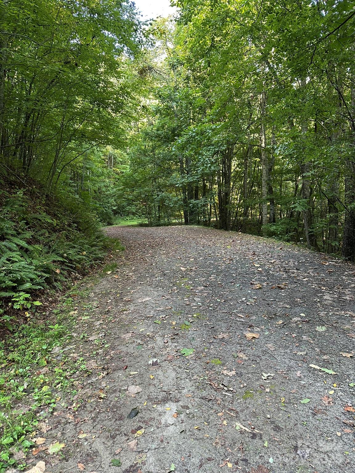 Balsam Mountain Preserve - Land