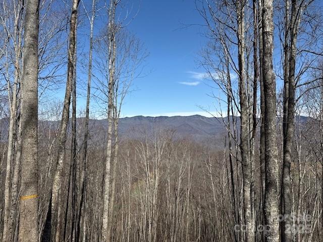 Balsam Mountain Preserve - Land