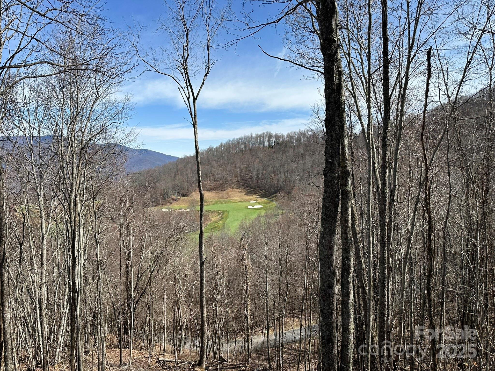 Balsam Mountain Preserve - Land