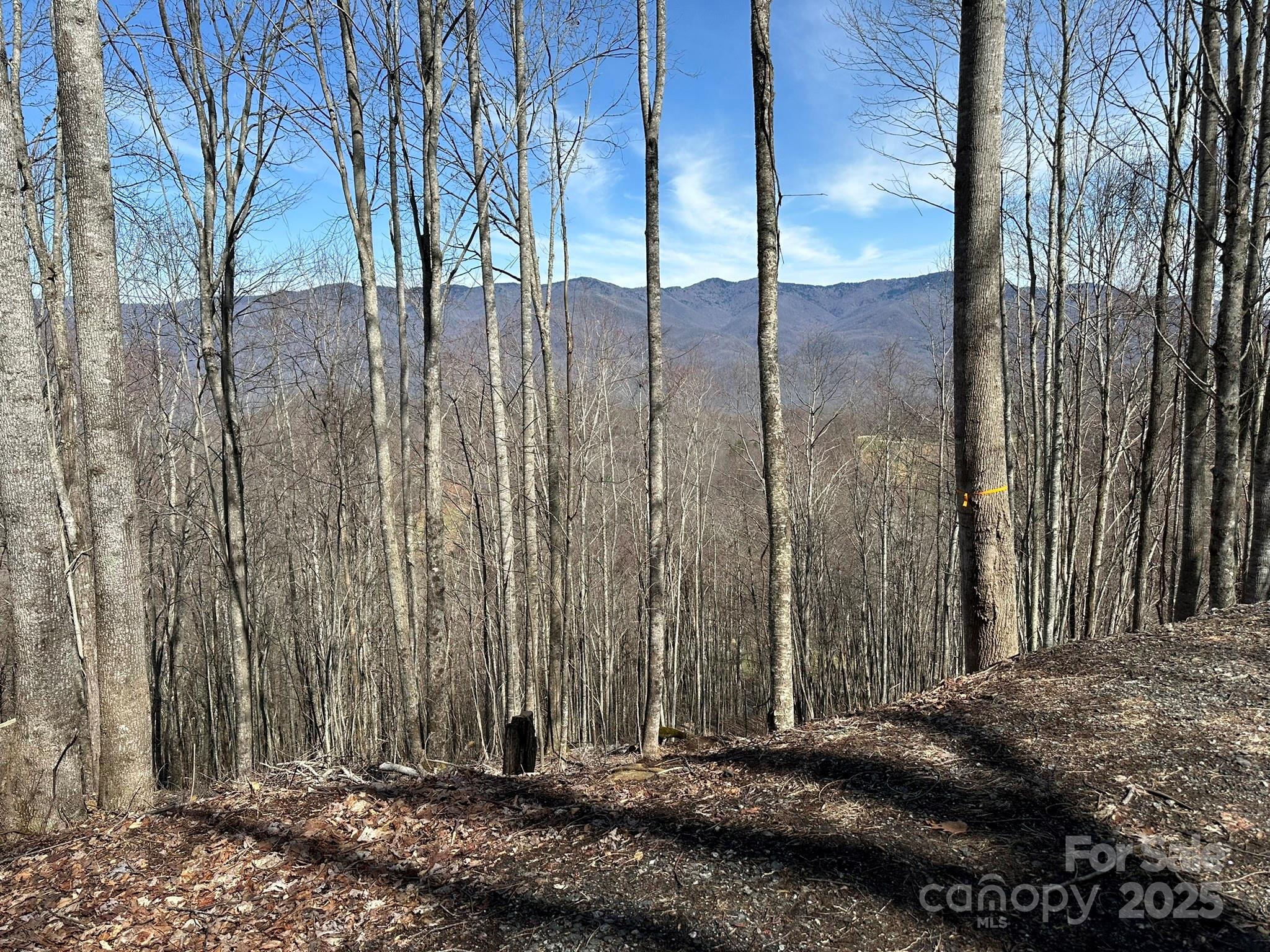 Balsam Mountain Preserve - Land