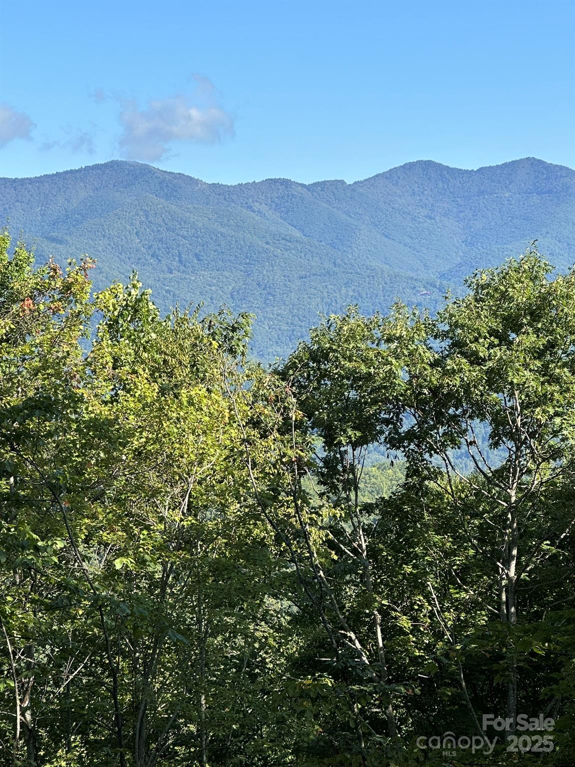 142 Old Growth Way 58