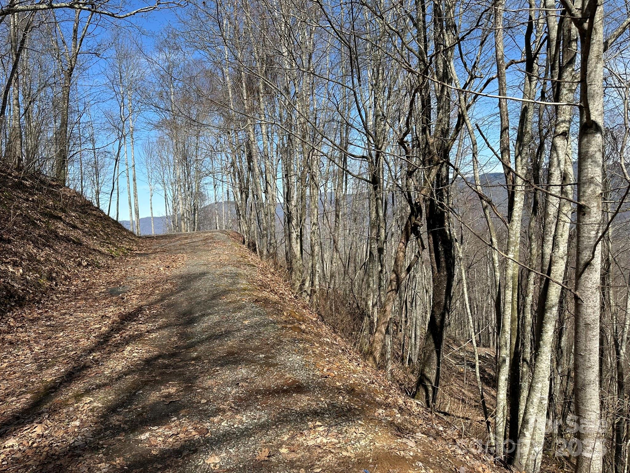 Balsam Mountain Preserve - Land