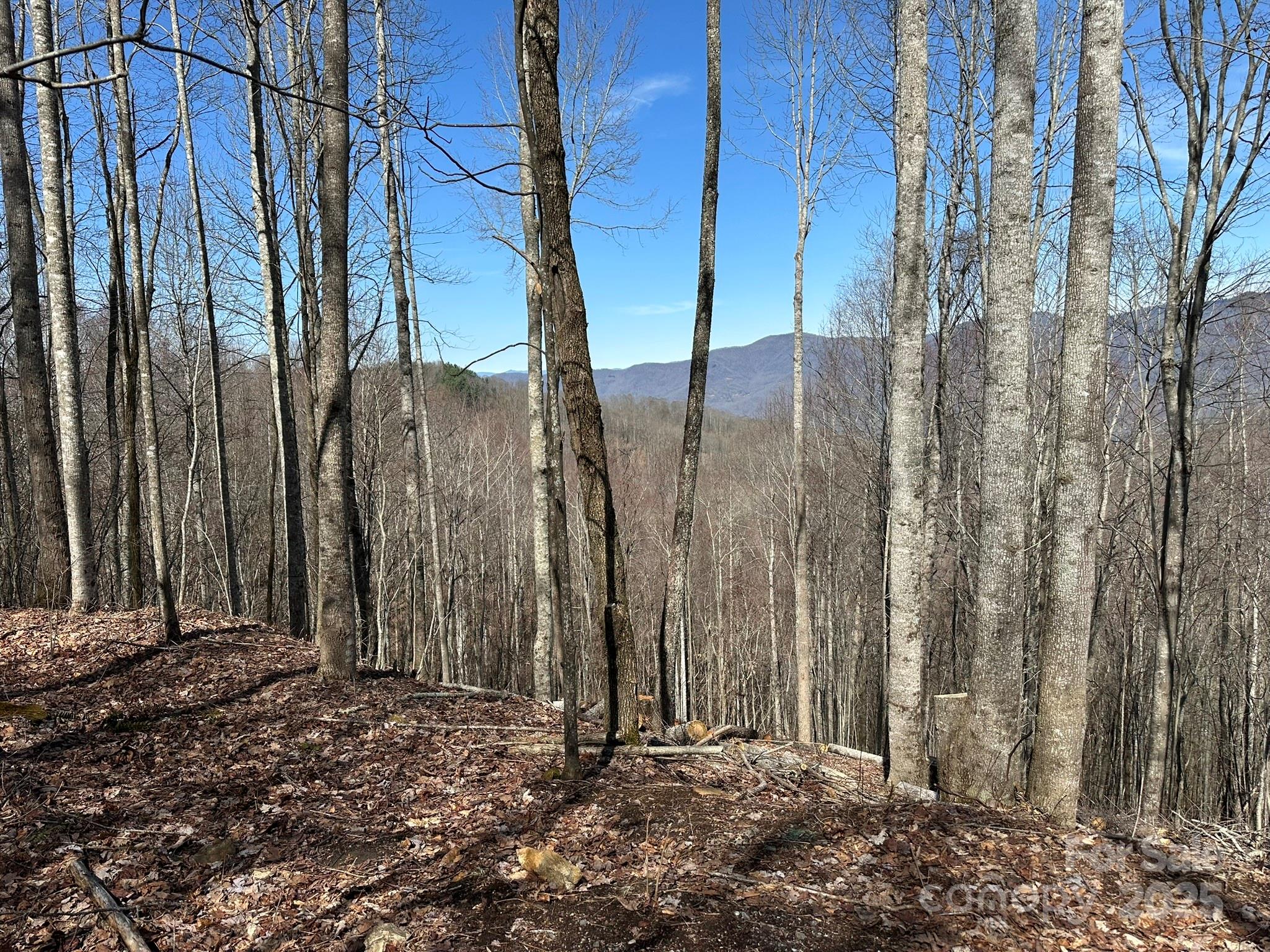 Balsam Mountain Preserve - Land