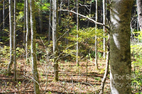 Photo for 444 Culvin Creek Road 145 ACRES