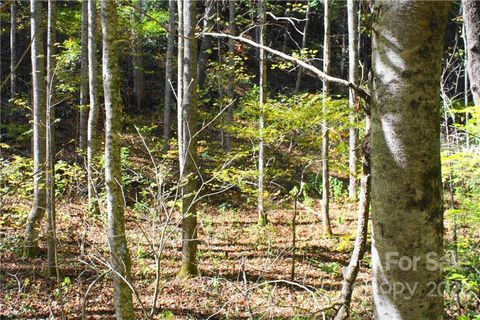 444 Culvin Creek Road 145 ACRES Marshall NC 28753