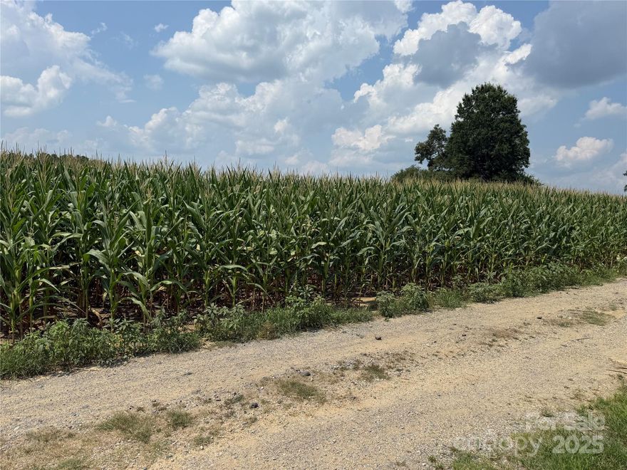 Great property for your private estate, farm, etc. no clearing needed, was planted in corn but has been harvested, 12.5 acre tract located just south of Monroe on Acorn Lane, a private road.  See proposed plat. P/O 04090004

The approximate division line of Lot 1 and Lot 2 is just beyond my sign and before the no trespassing sign across the street.  You can park to the left of my sign on the property.  Also there will be a 30' easement of Medlin Road for access on parcel # 04090016B along it's left property line.