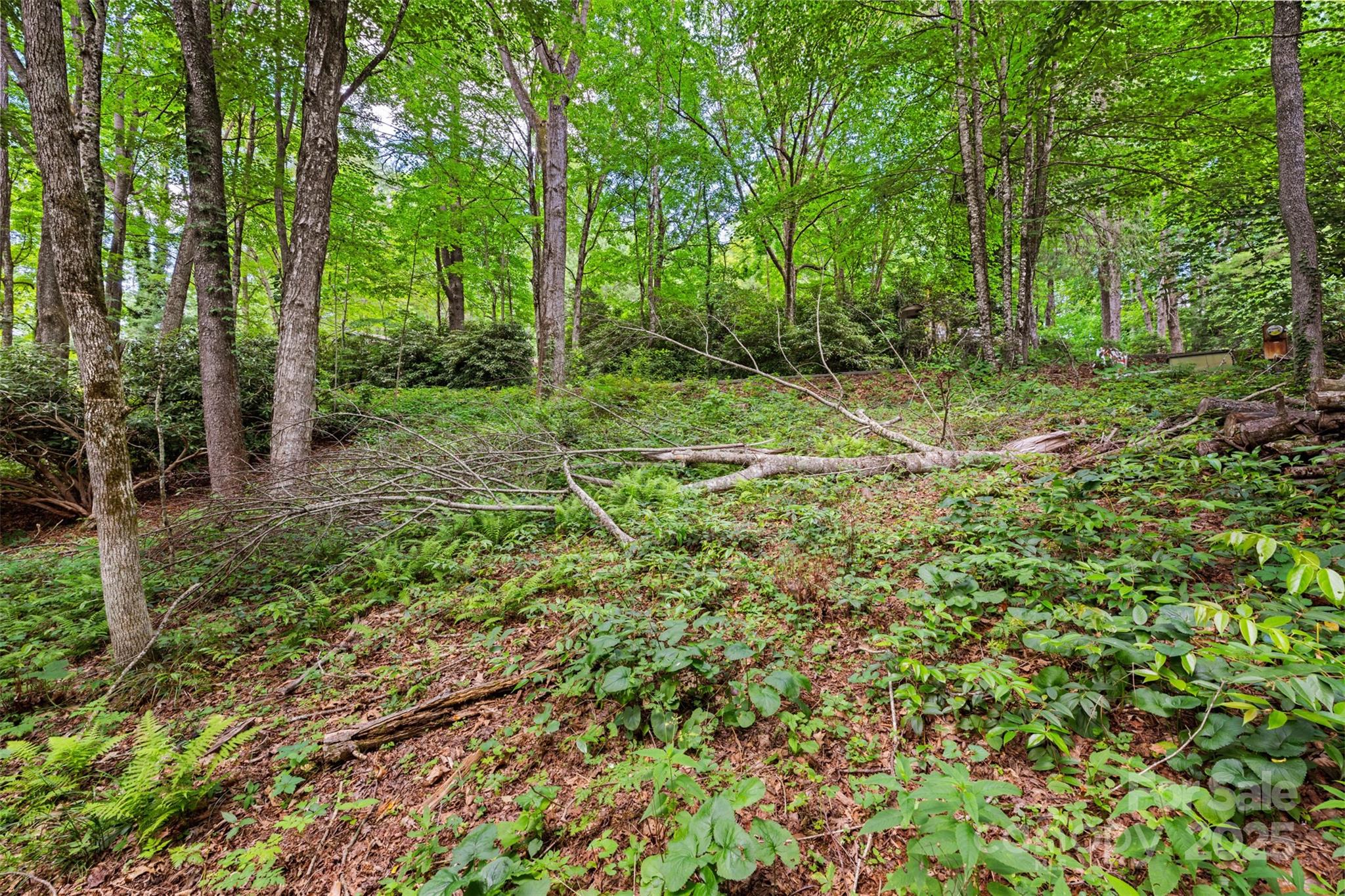 140 Pine View Road 43