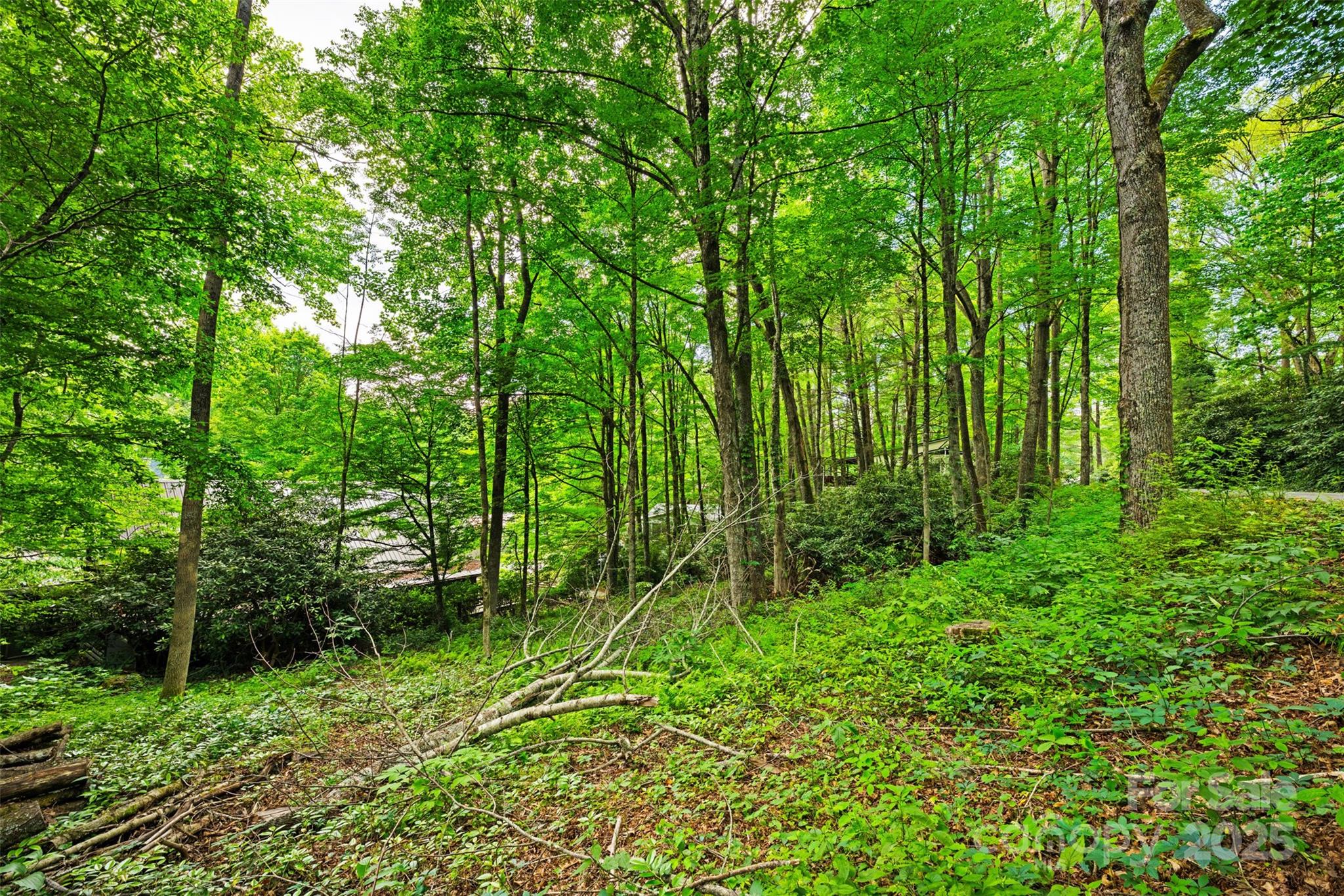 140 Pine View Road 43