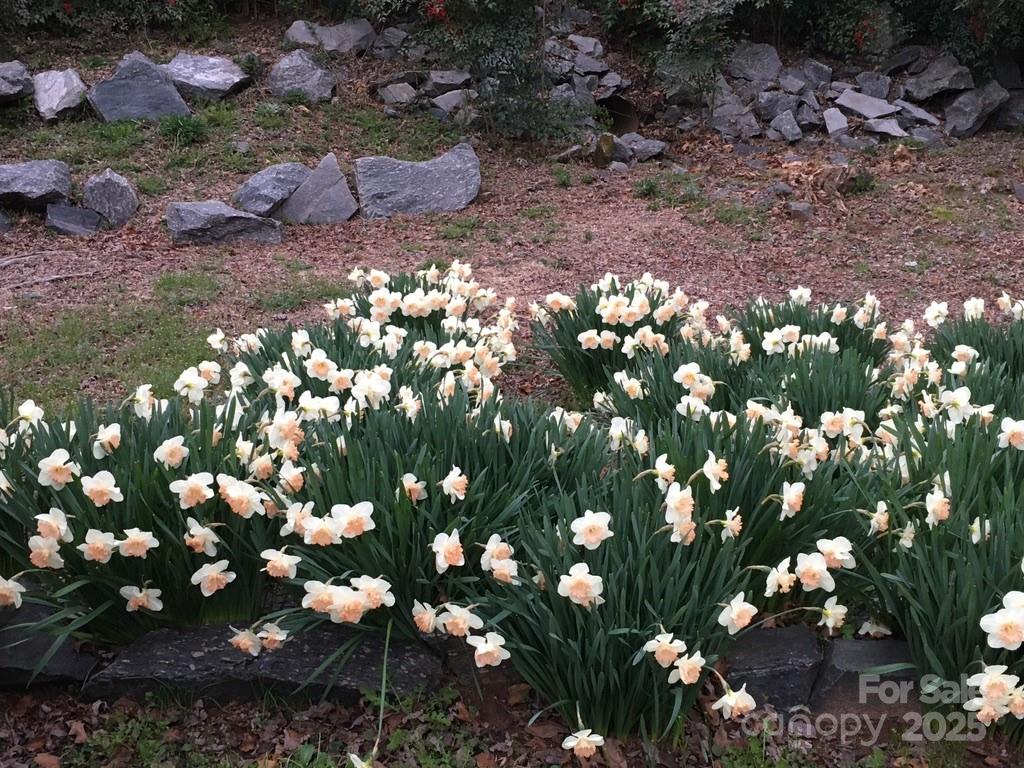 Windover Farms - Residential