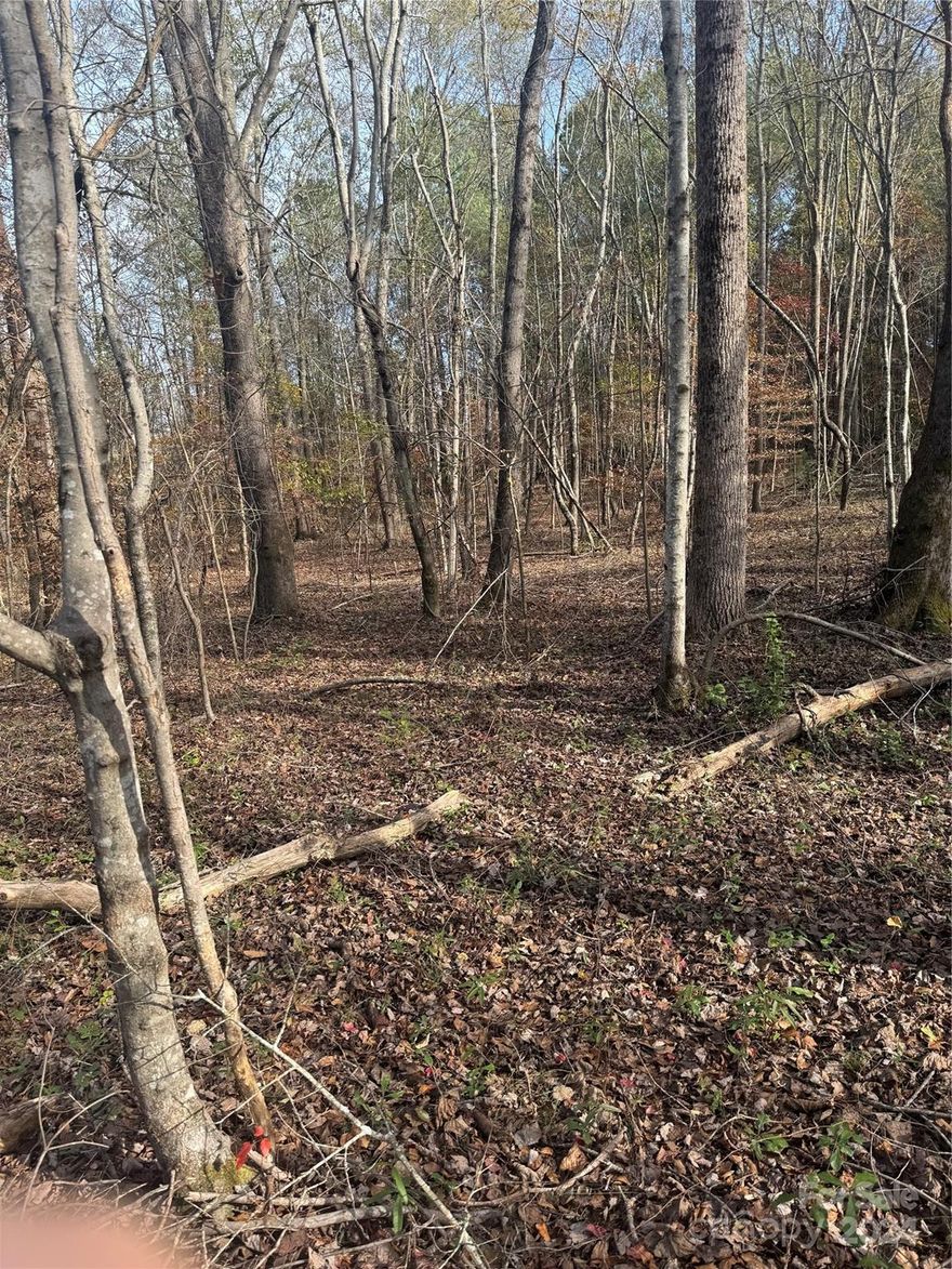 Discover the perfect balance of privacy, space, and natural beauty with this expansive 22.52-acre property. Tucked away in a peaceful setting, this land offers the ultimate retreat with no city taxes and no HOA. A highlight of this property is the beautiful creek running along the backside, adding to the tranquility and natural charm.

THIS PROPERTY MUST BE SOLD SIMULTANEOUSLY WITH MLS #4205340