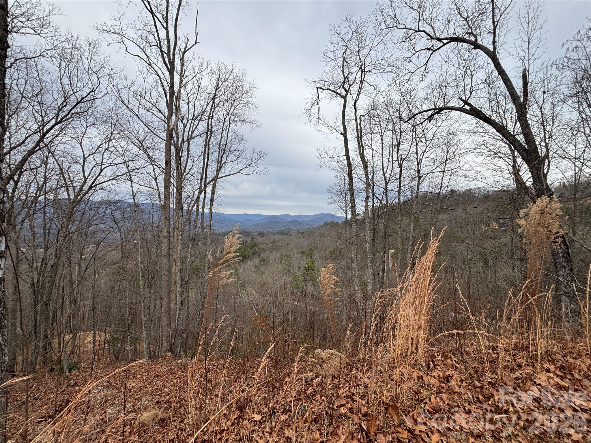 Bryson Gap Preserve - Land