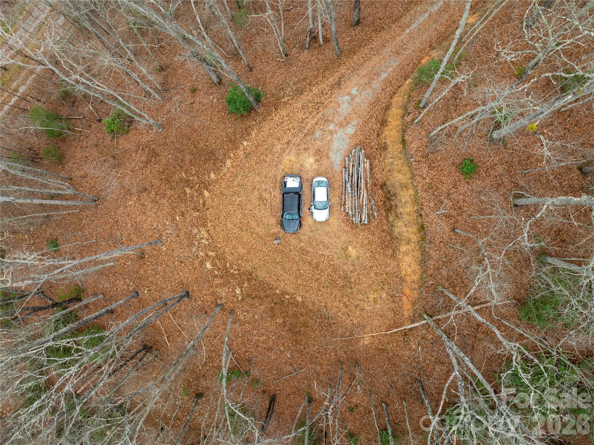 Bryson Gap Preserve - Land