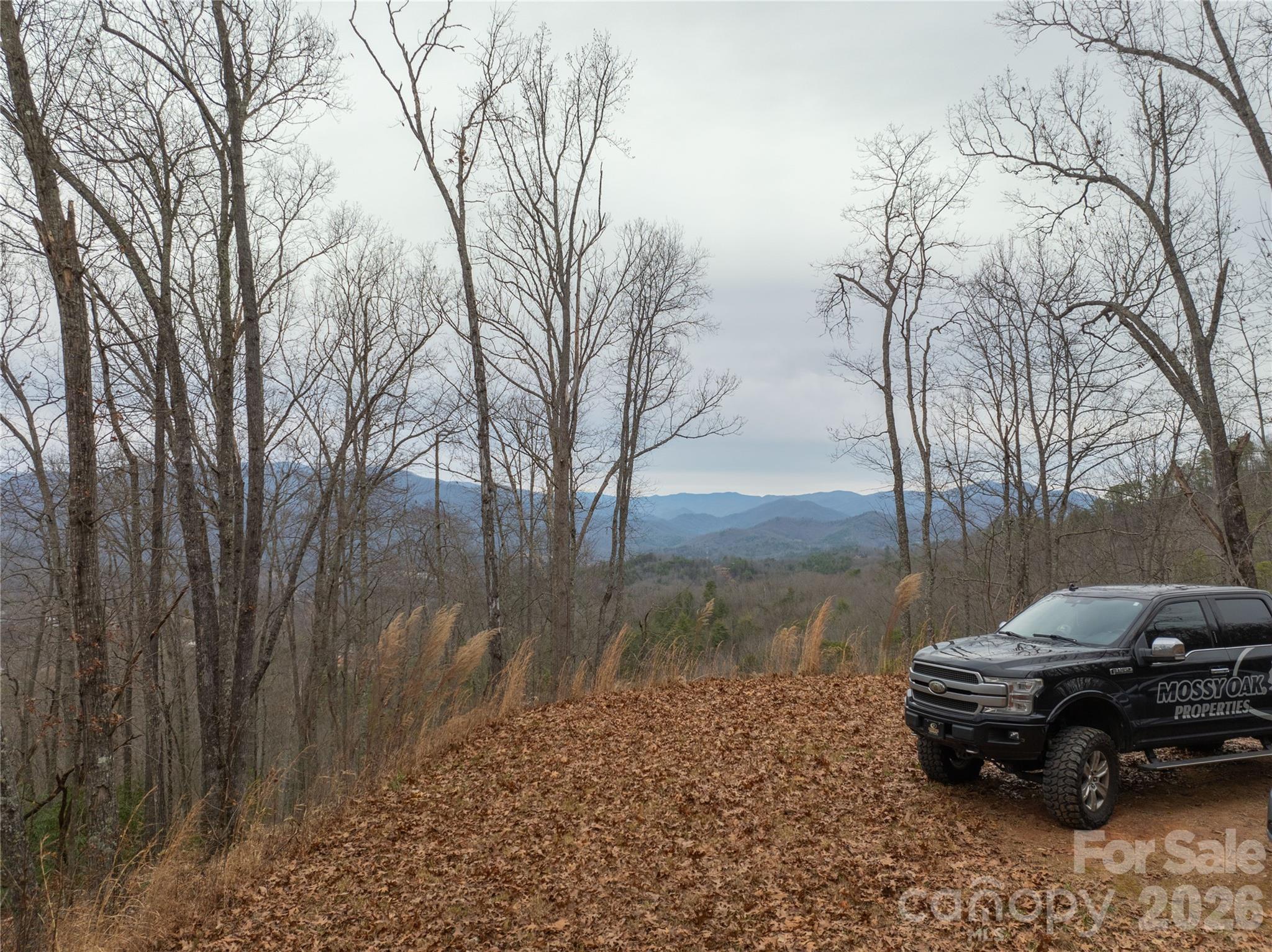 Bryson Gap Preserve - Land