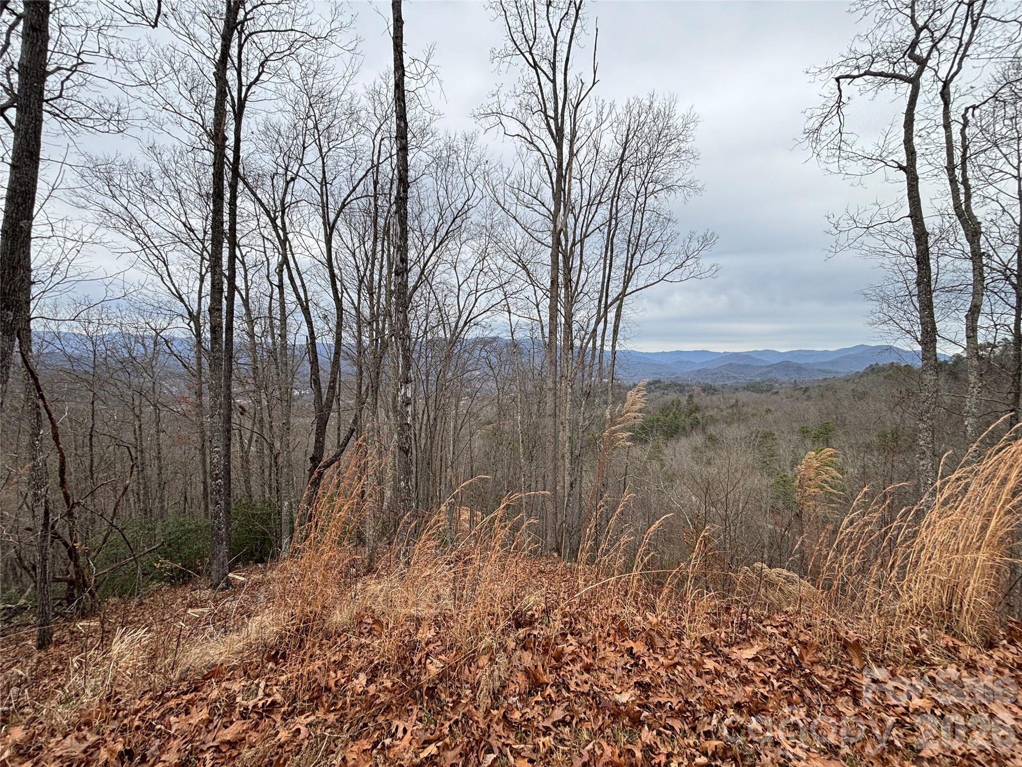 Bryson Gap Preserve - Land