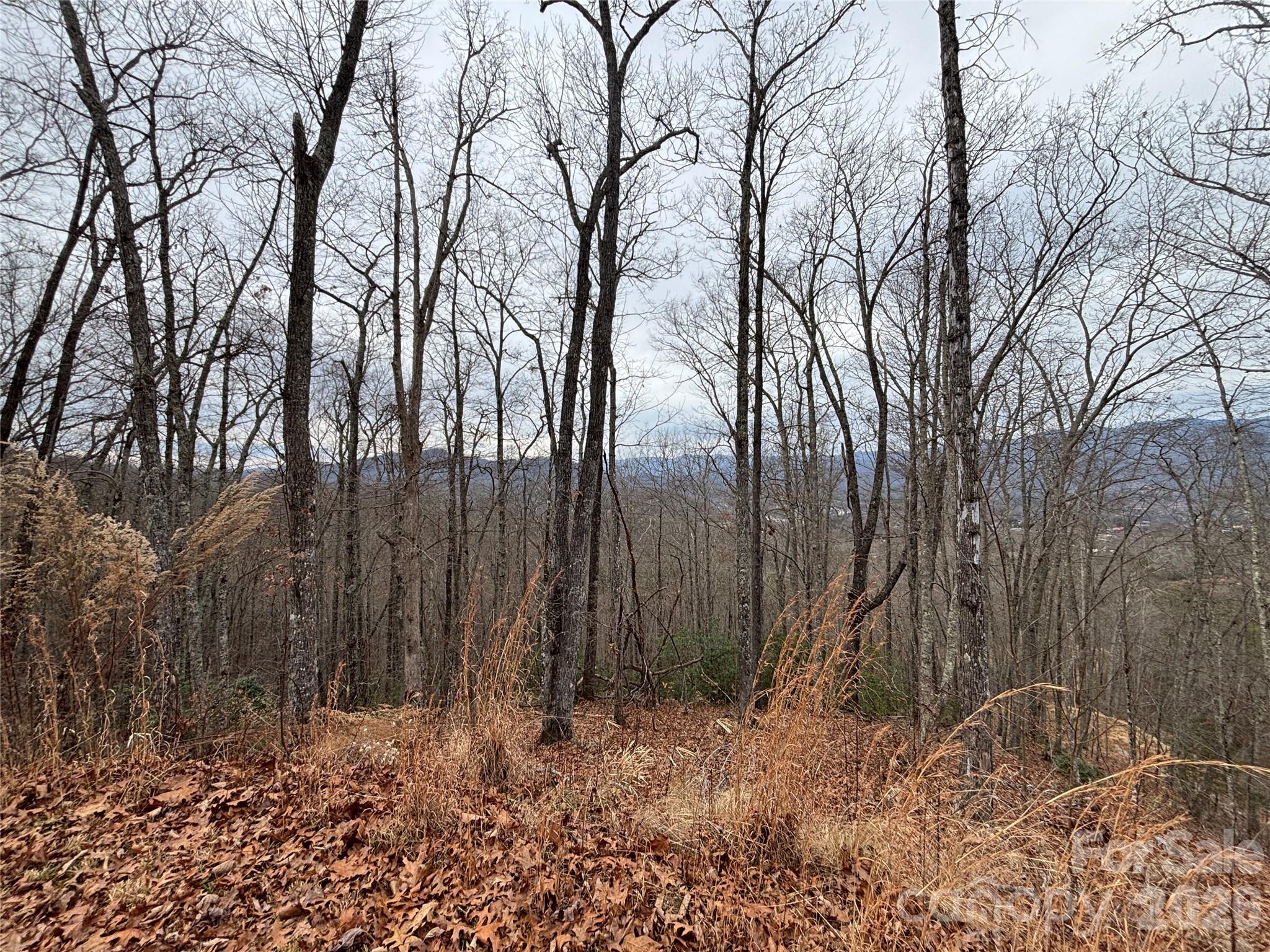 Bryson Gap Preserve - Land
