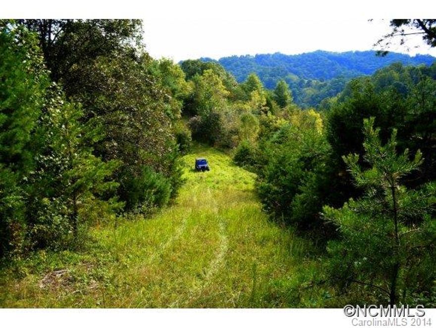 Excellent land for self sustainability two springs and an old horse pasture that could be reclaimed.  Two high ridge grass knolls with long distance mountain views.   Perfect for going off the grid with mostly south eastern light. Two parcels. See Property Tax Cards attached for both PINs. Taxes to be determined.  Possible seller financing.