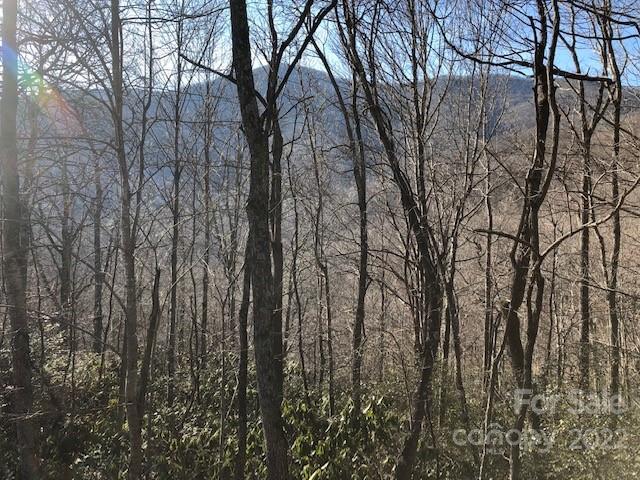 99999 Winding Poplar Road 806