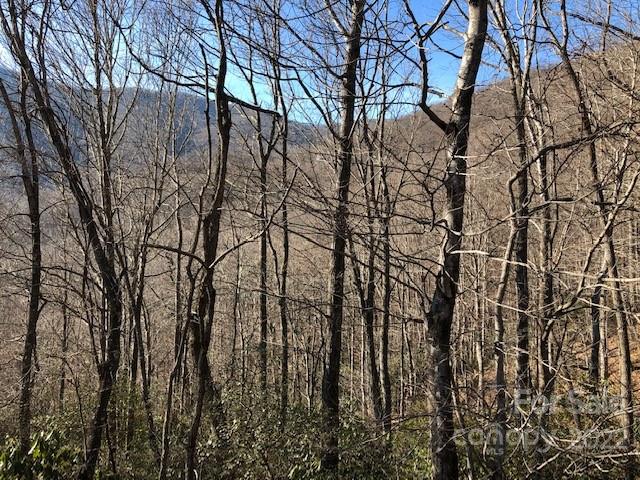99999 Winding Poplar Road 806