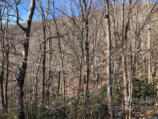 99999 Winding Poplar Road 806