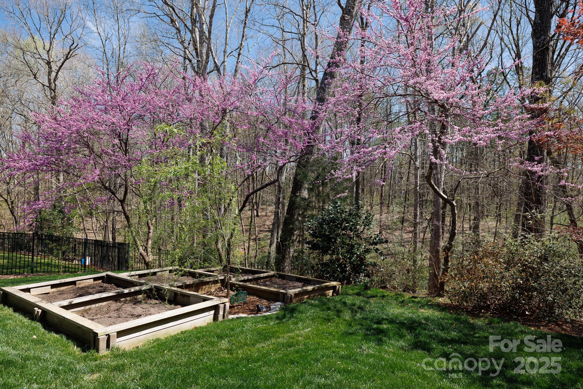 Belle Meade - Residential